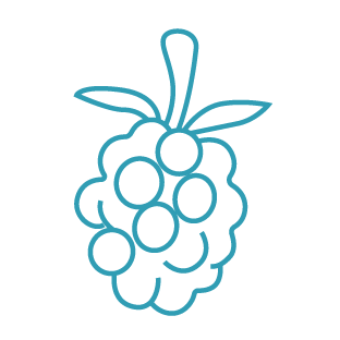 Maren Octo tasting note - blackberry icon