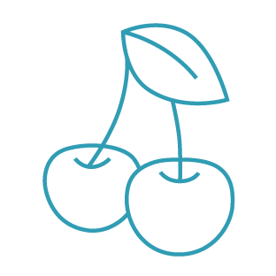 Maren Octo tasting note - cherry icon