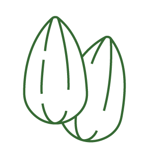 Maren Otto tasting note - almond icon